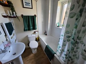 Photo 10- click for photo gallery